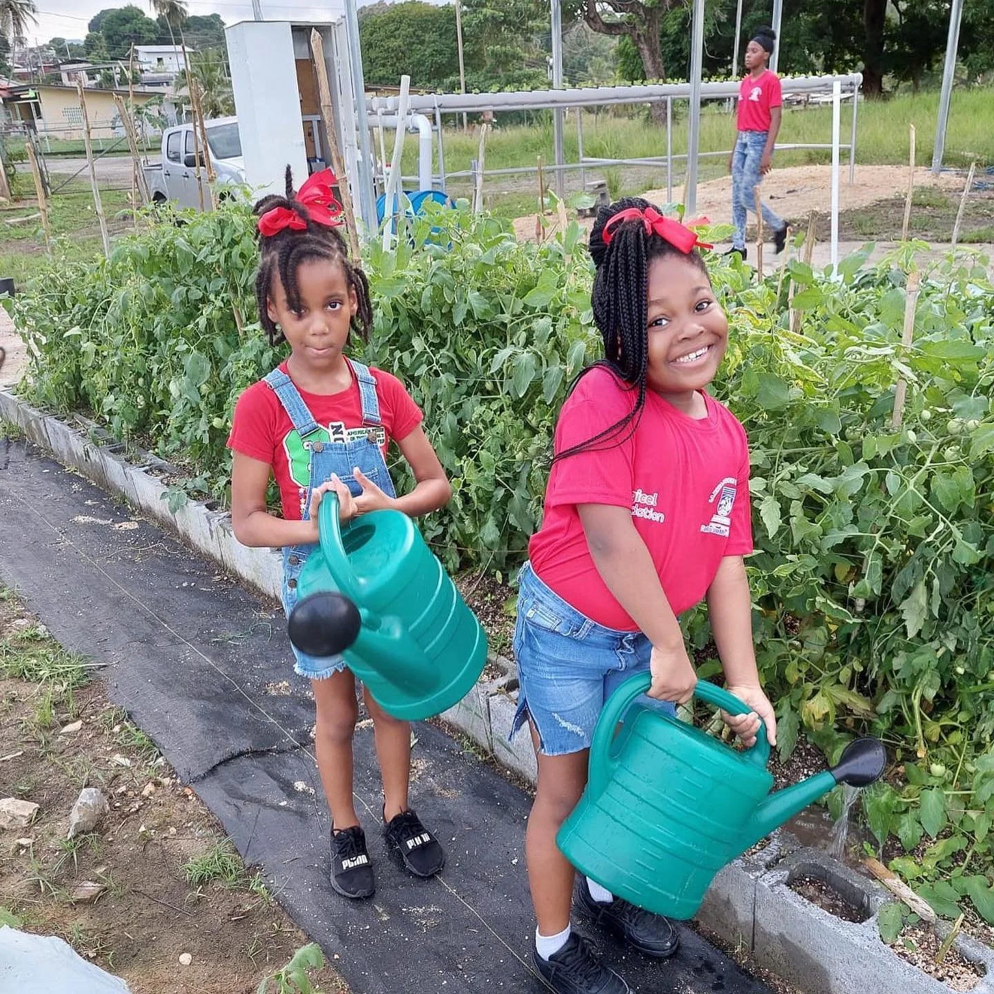 Two young girls from the La Brea Police Youth Club water some of the plants from the ‘Solar Voltaic Hydroponic project’.