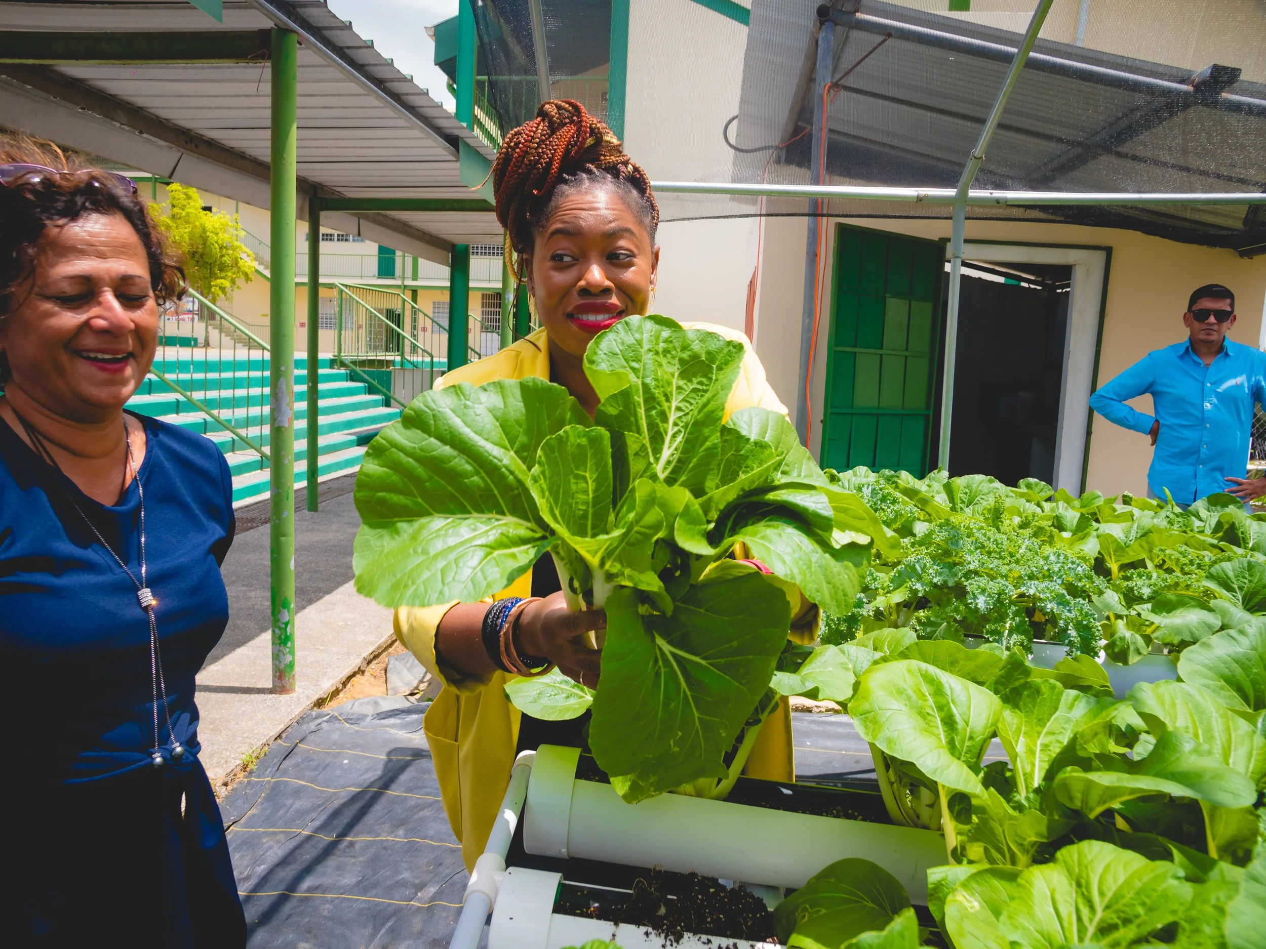 Cindyann Currency, Head of Operations at the Digicel Foundation, harvests lush patchoi at the ASJA Girls College Barrackpore hydroponic greenhouse with the school’s Agriculture teacher, Ms. Ramsaran, on 17 April 2024.