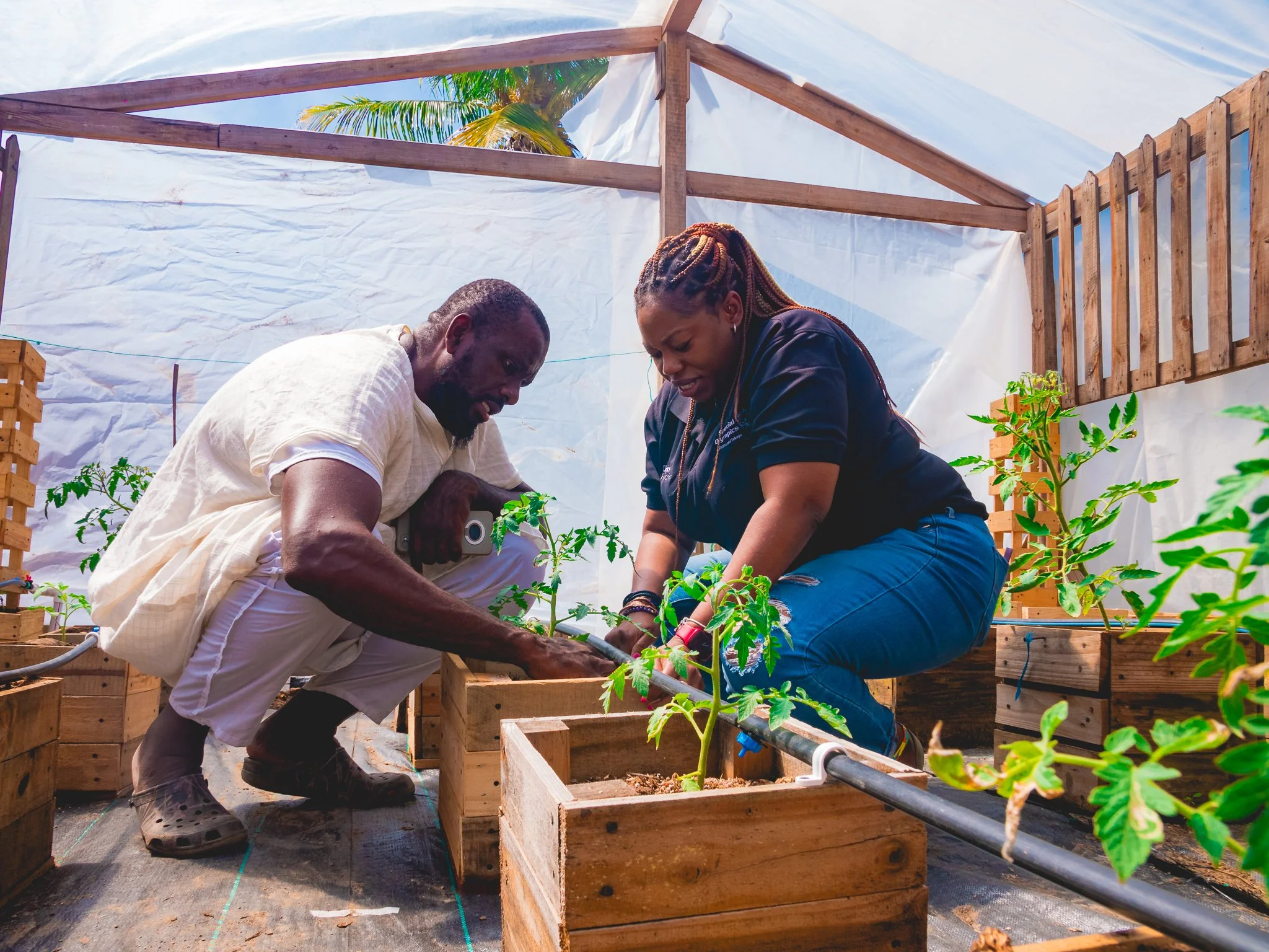 Siparia Deltones President Akinola Sennon and Digicel Foundation Head of Operations Cindyann Currency get a close look at the innovative drip to waste hydroponics system at the Deltones Panyard garden, which supplies fresh, pesticide-free ingredients for the community’s pizza enterprise.