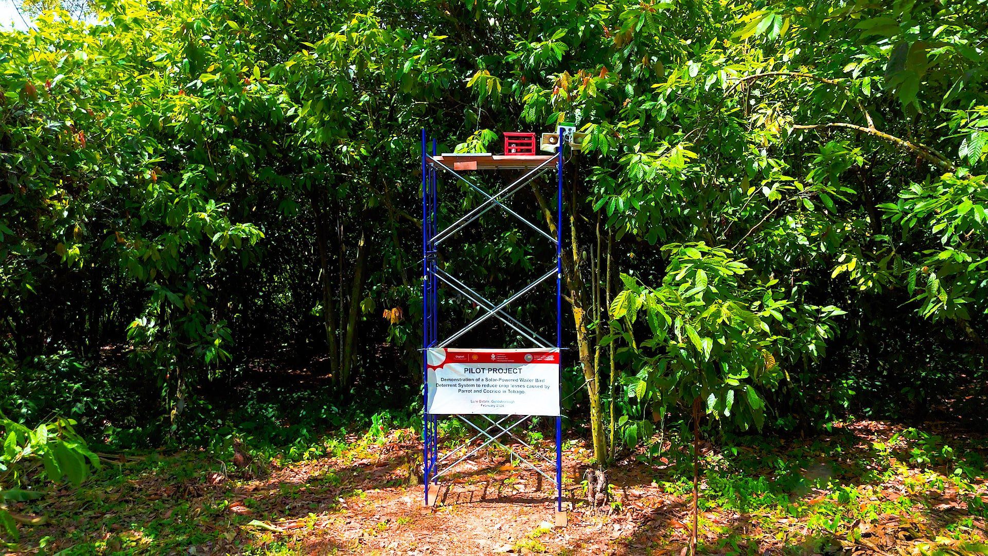 The solar-powered bird wailer deterrent system installed by CARDI to protect Tobago farms was facilitated by an EPIC grant from the Digicel Foundation in partnership with Shell Trinidad and Tobago.