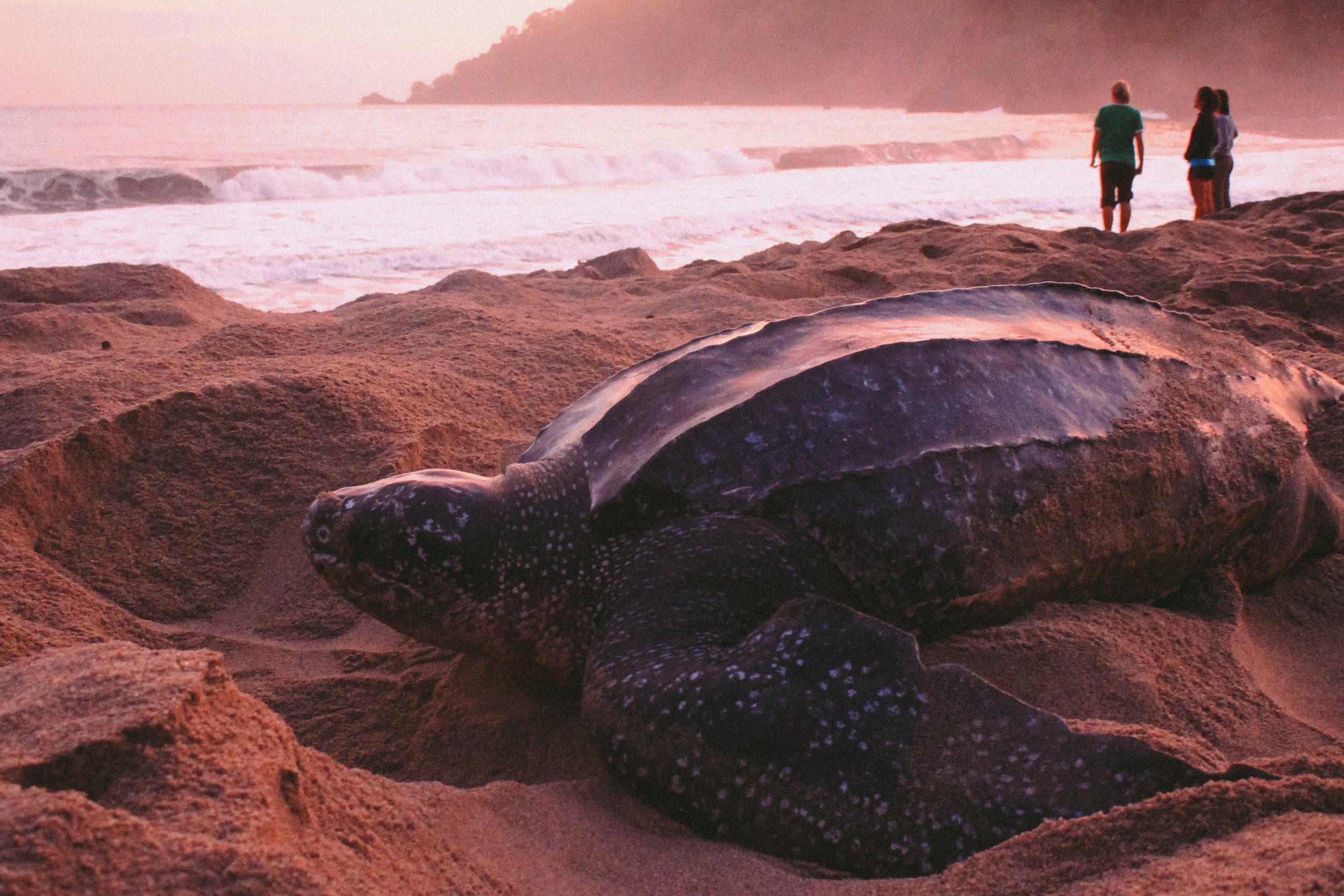 AGE OF UNION ALLIANCE DONATES US$1.5 MILLION TO NATURE SEEKERS OVER FIVE YEARS