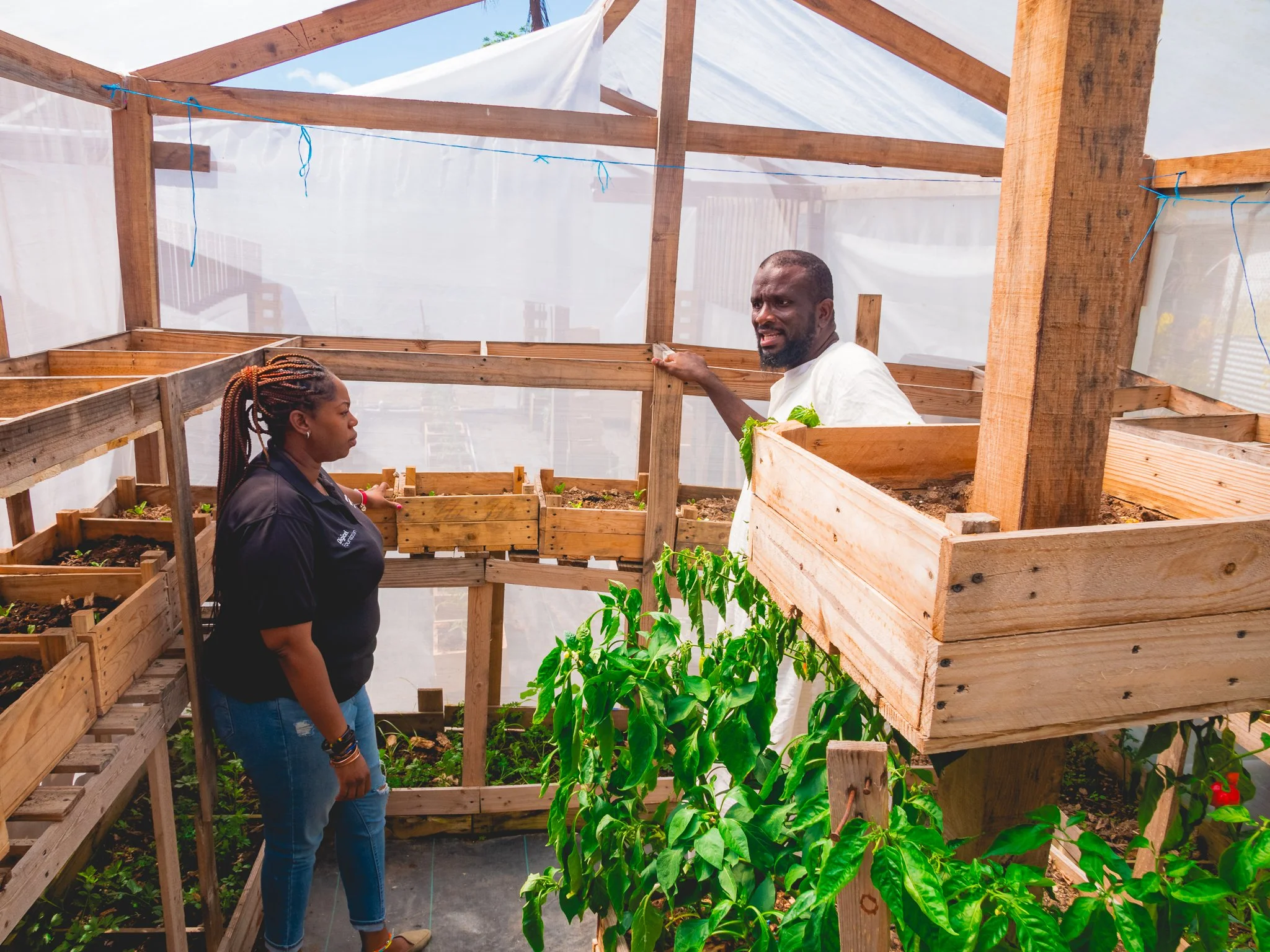 Cindyann Currency, Digicel Foundation’s Head of Operations, and Deltones’ President Akinola Sennon explore the innovative setup at the Deltones Pan Yard on Railway Road Siparia where upcycled wood pallets and car tyres were used to build a drip to waste hydroponics system.